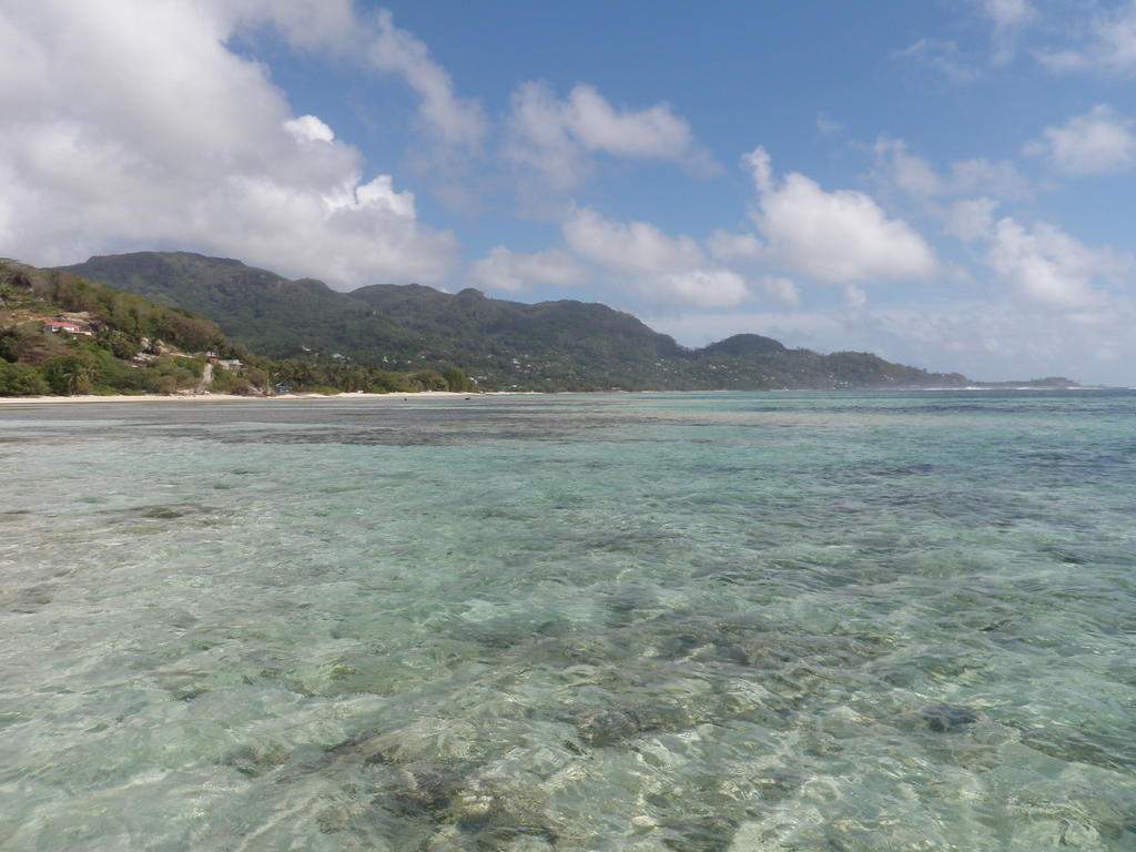 Alojamento de Turismo Selvagem Castaway