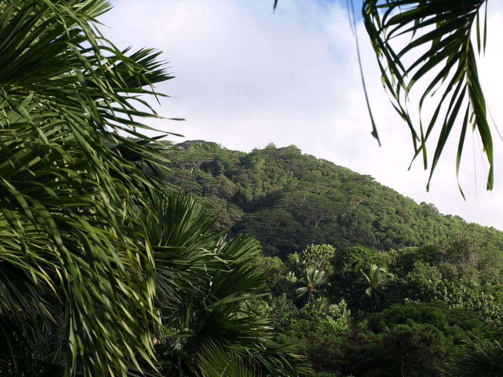 Alojamento de Turismo Selvagem Castaway Pointe Au Sel