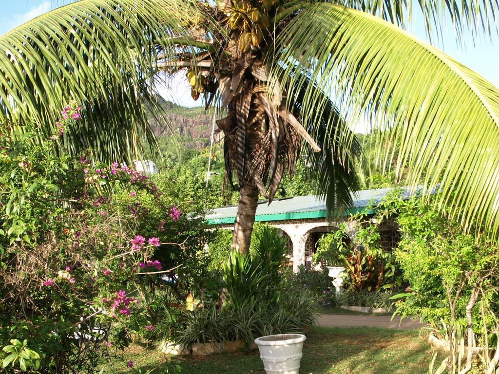 Alojamento de Turismo Selvagem Castaway *